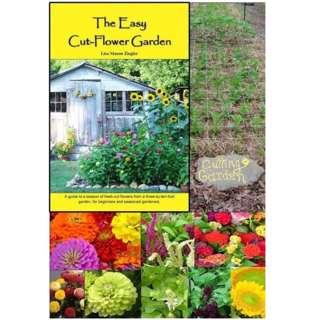 blog - the gardener's workshop